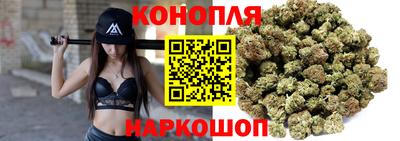spice Дубна